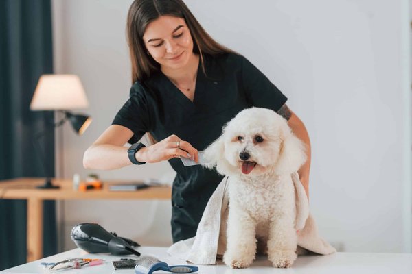 What Are the Best Low-Stress Grooming Techniques for Sensitive Pets?